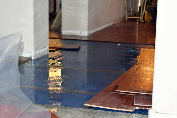 Professional Sewage Cleanup technician working in Springfield, MA